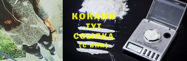 МДПВ Лиски