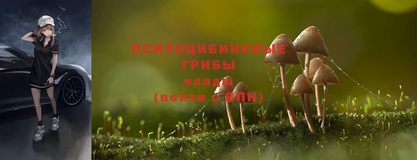 СК Липки