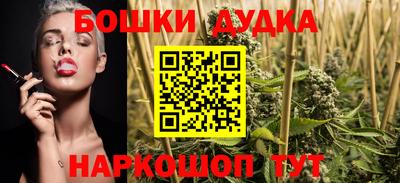 сатива Бийск