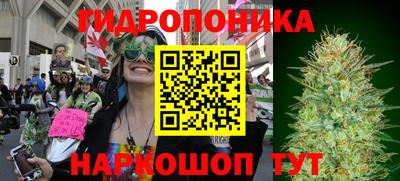 прущие крисы Бугуруслан