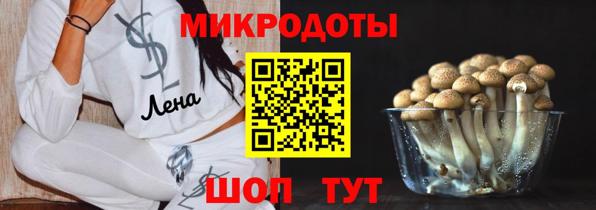 закладка  Салават  Псилоцибиновые грибы ЛСД 